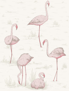 RESERVED FOR TRACEY: Cole & Son 'Flamingo' wallpaper with soft grey velvet lampshade